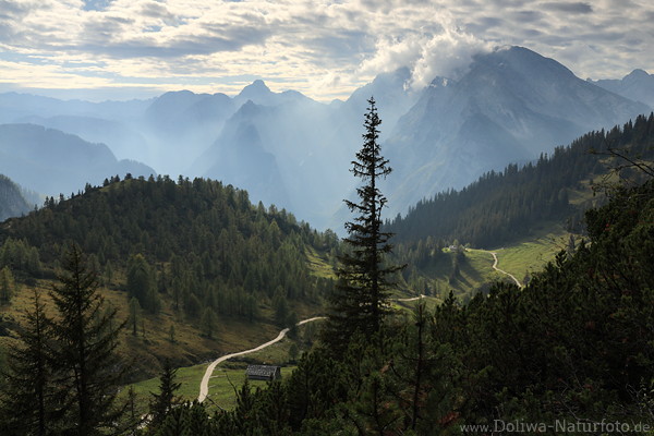 Alpengipfel in Gegenlicht Bergtal Naturbild Wanderweg Kiefer Wälder Naturfoto