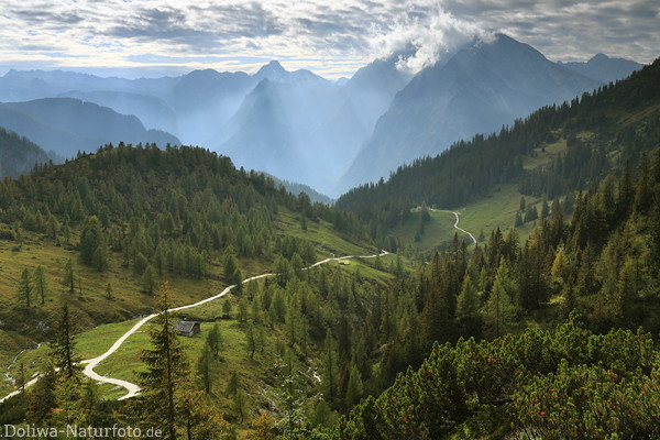 Alpen Gipfel Gegenlicht Stimmung Naturfoto Nationalpark Berchtesgaden Berge Wanderweg