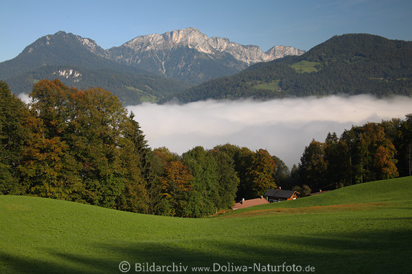 Berchtesgadener Hochthron Tal in Nebel Morgenstimmung über Grünwiese Bergpanorama