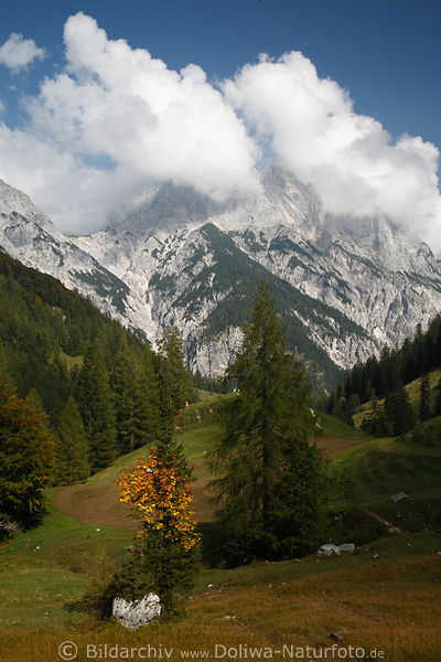 Bindalm Herbst-Naturfoto Ramsauer Dolomiten in Wolken oben im Nationalpark Berchtesgaden