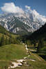 913294_Reiteralpe Berg über Bindalm Naturfoto grüne Almwiesen geschlängelte Wanderpfade