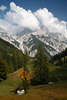 913343_Bindalm Herbst-Naturfoto Ramsauer Dolomiten in Wolken oben im Nationalpark Berchtesgaden