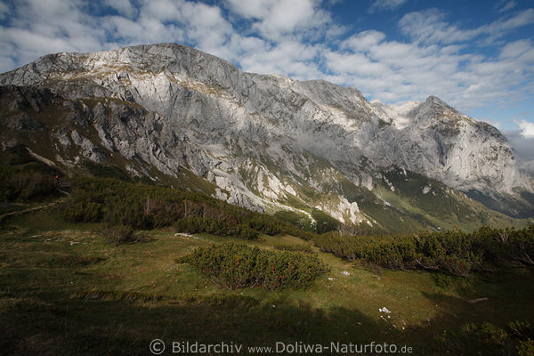 Göll & Brett Bergmassiv gewaltige Felsen Bergwand grünesTal Naturlandschaft