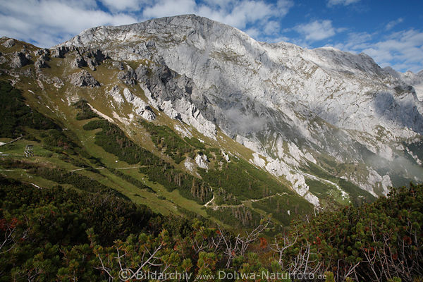 Hohes Brett mit Hoher Göll Bergmassiv felsige Gipfel Alpenlandschaft Natur Wanderpfade