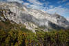 915019_Hoher Göll felsiger Bergmassiv Foto Gipfelwand über grüne Sträucher Alpenlandschaft Naturbild