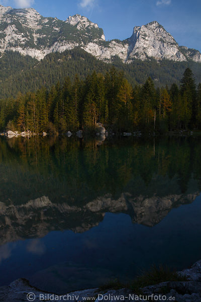 Hintersee Bergfelsen Zauberwald Uferbäume Wasser-Spiegelung Naturfoto in Morgensonne