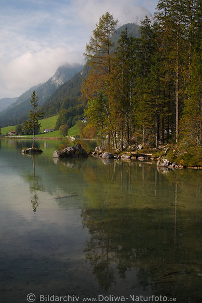 Hintersee-Uferidylle am Wasser Landschaftsfoto Bergsicht Ramsauer Alpen Naturbild