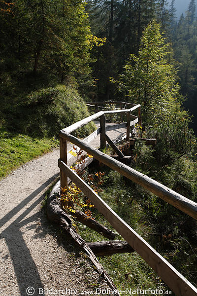 Geländerweg geschlängelter Wanderpfad durch Bergwald-Bäume oberes Klausbachtal