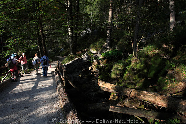 Schluchtbrücke im Waldlichtung Klausbachtals Naturfoto mit Wanderer in Sonnenschein