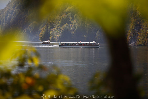 Königssee Schiffe Foto durch Uferblätter Wassertour romantische Seenlandschaft