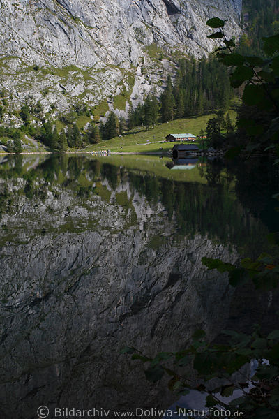 Alpenfelswand Spiegelung im Obersee Stillwasser Naturfoto mit Fischunkelalm