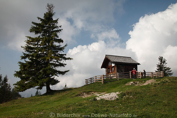 Toter Mann Berg Naturfoto mit Kieferbaum Bezoldhütte in Zaun Wander-Besucher