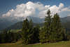 913508_Hochschwarzeck Bergpanorama vom Hirschkaser Naturbilder Bergblick ins Grüntal Waldbäume Landschaft