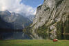 914641_Obersee Berge Alm Kuh Wasserufer Touristen Naturfoto Alpen Nationalpark Berchtesgaden