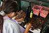 Gastronomie Beruf Arbeiterin bei Schälen Öffnen der Schale der Cashewnüsse