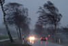 Regenschauer Windpeitsche an Landstrasse geneigte Bäume in Orkanböen Unwetter Bild