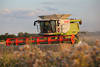 Grain harvester agriculture machine field work in evening-light