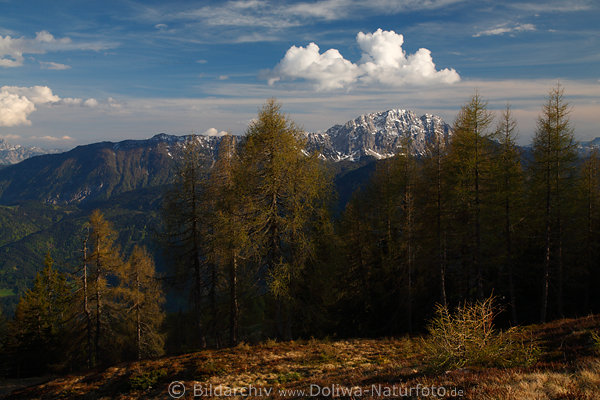 Kärnten Alpenpanorama Naturbild Berglandschaft Gipfel Bäume Abendidylle