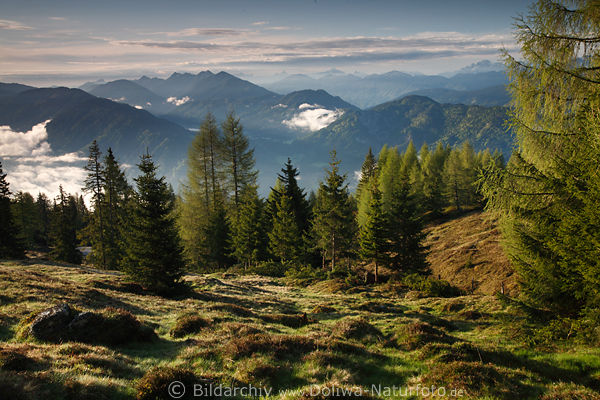 Gailtaler Alpenlandschaft Kärnten Berge Alm Naturbild Oberdrautal Panorama