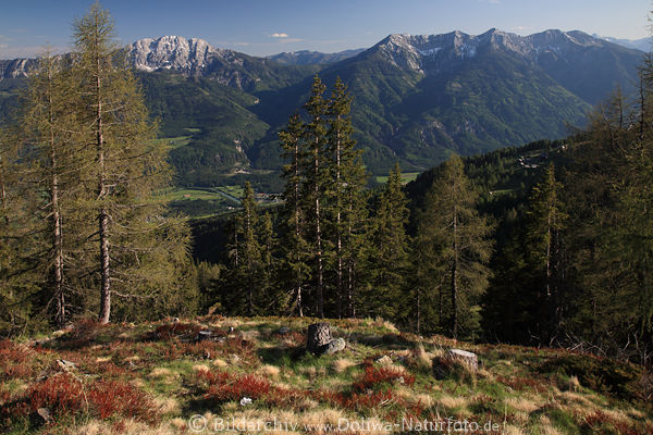 Gailtaler Alpen Bergpanorama Naturfoto über Drautal