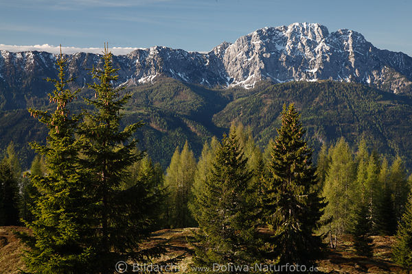 Reißkofel Felsenwand Bergpanorama Naturbild Gailtaler Alpen