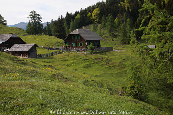 Waisacher Alm Landschaftsfoto Naturidylle Hütte grüner Wald Grünwiese Gailtaler Alpen