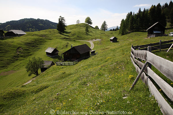 Waisacher Almpanorama Kärnten Berge grüne Oase Gailtaler Alpen Naturbild