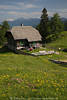Waisacher Almhütte in Bergidylle Gailtaler Alpen Grünnatur Landschaftsbild Wanderer Jausenstation