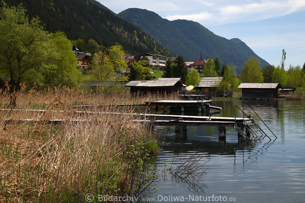 Weissensee Ufer in Techendorf Wasserstegs Schilf Bootshäuser vor Bergpanorama
