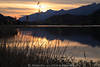 1201595_Weissensee Wasserlandschaft Naturbild Schilf Alpenpanorama Sonnenuntergang Romantik Foto