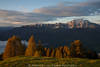 1200370_Morgenstimmung über Alpenpanorama Foto Gipfel & Bäume im Rotlicht Sonnenaufgangs auf Almwiese