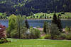 1201457_Gatschach Frühling Naturfoto Weissensee grüne Ufer Wiesenblüte Seeweg Wasserblick