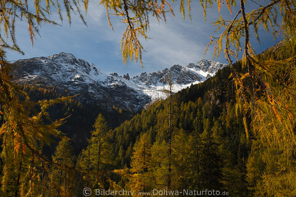 Berge Schnee-Romantik in Herbst Goldfarben Naturbild aus Osttirol Landschaft im Defereggental