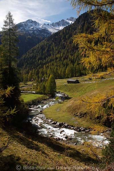 Berglandschaft Natur am Patscher Alm: Herbst am Bergbach Schwarzach, Almhütten Gipfel mit Schnee, grüne Wälder