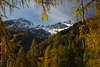 005903_Berge Schnee-Romantik in Herbst Goldfarben Naturbild aus Osttirol Landschaft im Defereggental