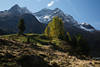 Rieserferner Berge Panorama Naturfoto Defereggental Alpenlandschaft Hügel Grünbäume
