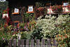 Hauswand Blumenfülle Foto: Kals-Grossdorf Gasthaus Gartenschmuck hinter Zaun