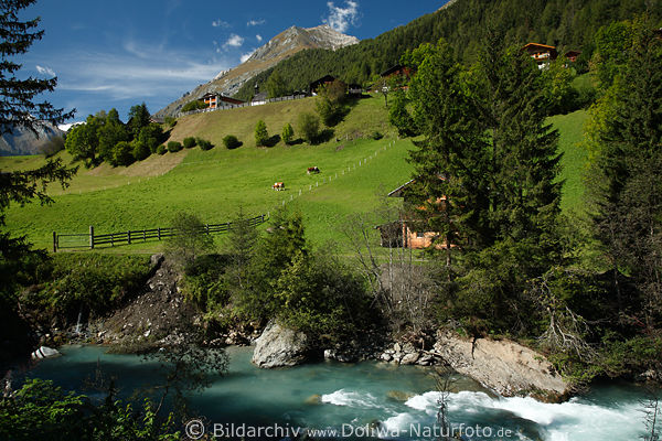 Bergbach Flusswasser Isel grüne Bergwiesen Alpenlandschaft Prägraten