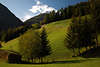 004537_Dorfertal saftige Almwiese Schafe am Berghang Naturbild Landwirtschaft in Alpen