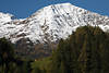 005085_Bergerkogel Gipfelpanorama im Schnee über grüner Alm weidende Kühe photo Osttirols Alpenreise