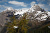 005146_Osttirol felsige Gipfel Kendlspitze vor Bretterwand Steilwänden links in Bild hinter gelben Lärche & Wälder im Tal