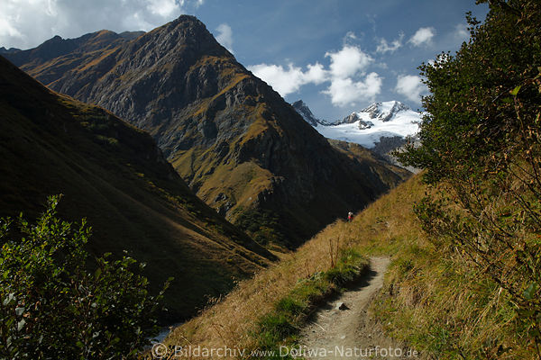 Umbaltal Alpen Bergpanorama Wanderpfad Naturfoto mit Kees über Isel-Bergbach in Osttirol