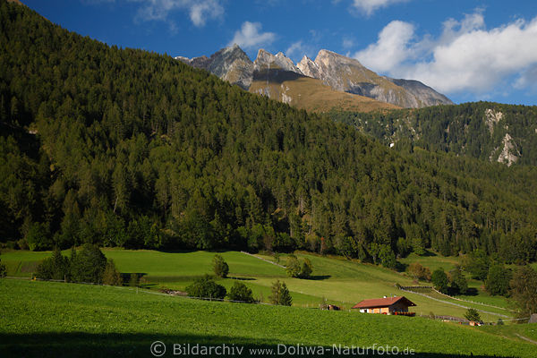 Virgental Grünwiesen Alpengipfel Naturfoto Hochlage Bergland Grünlandschaft Osttirol
