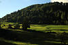 003086_Virgental Naturfoto saftige Berglandoase grüne Bergwiesen und Wälder bei Obermauern