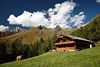 Gottschaunalm Alpenlandschaft grüne Almwiese Kühe am Bauernhaus Bergspitzen bäuerliche Naturidylle