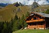 Bauernhaus Kühe in Alpenlandschaft Gotschaunalm grünes Bergland unter Felsenspitzen