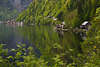 Hallstätter See grüne Bucht Naturfoto Alpensee Frühlingslandschaft