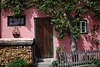 Hallstatt urig violette Hauswand Grünbaum dicht wachsen an der Tür