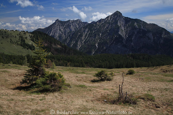 Postalm karge Berglandschaft Hochebene Plateau Foto vor Alpengipfel Naturbild