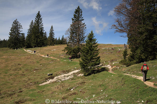 Bergpfad mit Wanderer in Alpenlandschaft Postalm Hochebene Walker Naturidylle